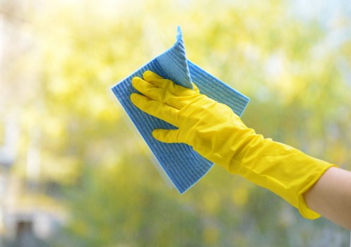 Kitchen appliance cleaning in a central London property
