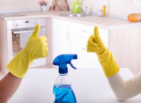 Professional carpet cleaning process in an SW1 property