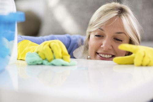Professional gutter clearing on a central London property